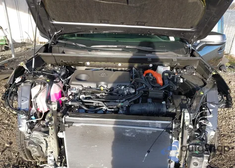 2025 Toyota Rav4 Hybrid Xle from USA, damaged, VIN JTMRWRFV2SD313804